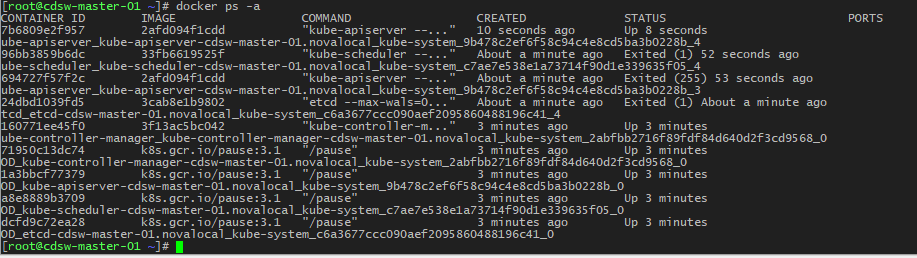 CDSW_service_docker.png
