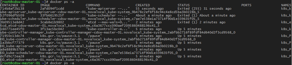 CDSW_service_docker.png