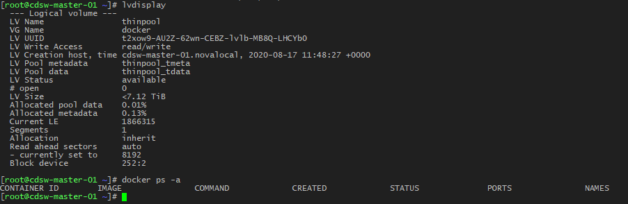 CDSW_service_lvdisplay_docker.png