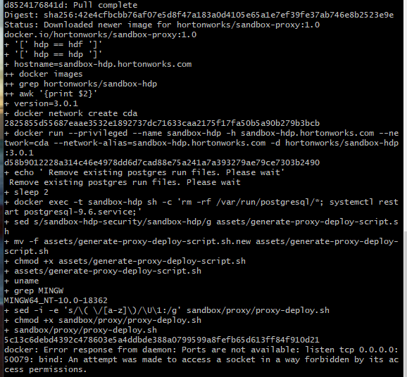 dockerhdpporterror.png