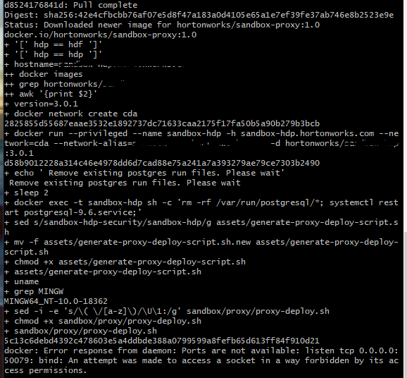 dockerhdpporterror.png