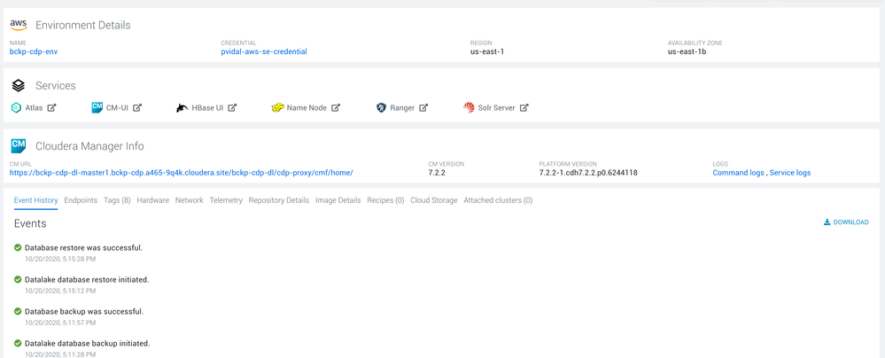 Screen Shot 2020-10-20 at 5.17.29 PM.png