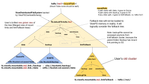 UmaG_2-1606930834356.png