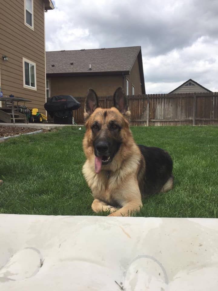 Diesel.jpg