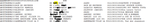 ExampleFiles.PNG
