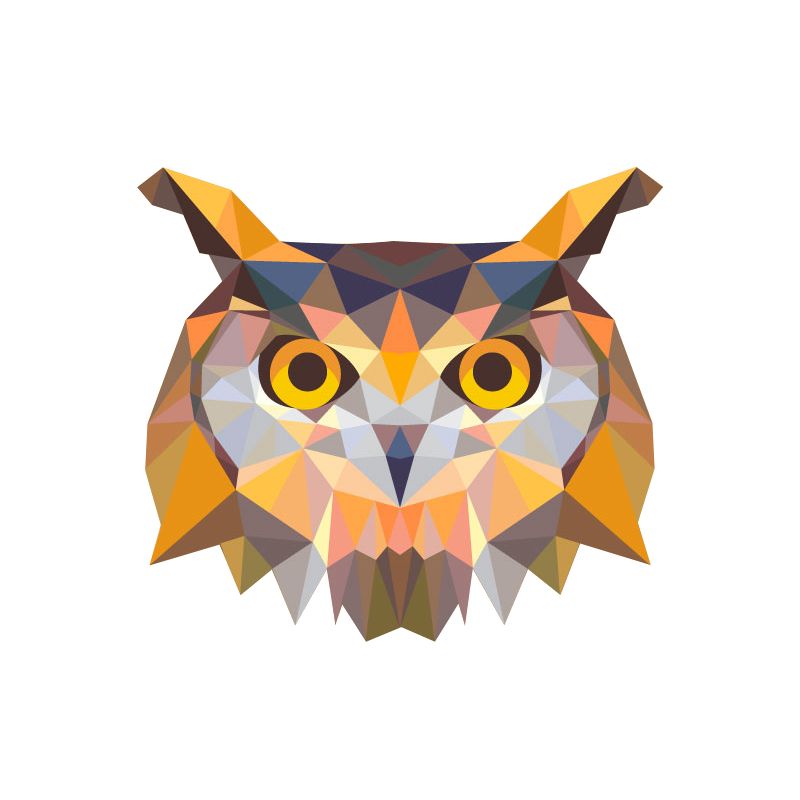 owl.jpg