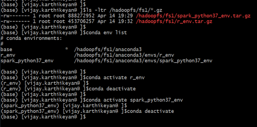 conda-dh-cluster-ouput.png