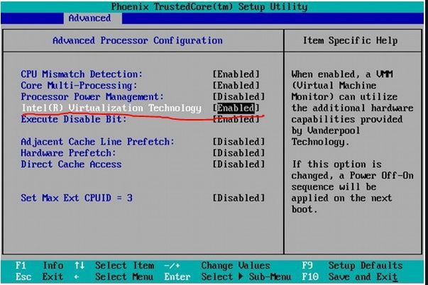 Bios Virtualization.JPG