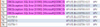 PauloNeves_1-1625514670417.png