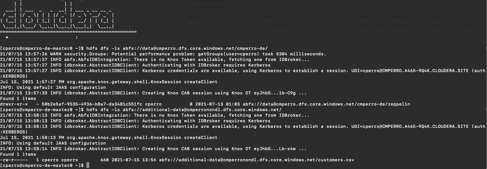 Screen Shot 2021-07-15 at 9.58.26 AM.png