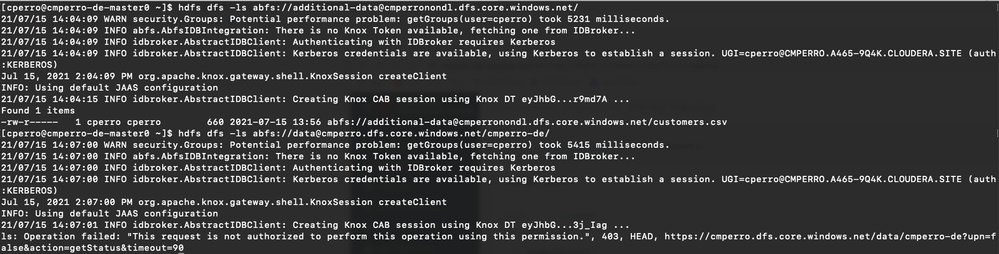 Screen Shot 2021-07-15 at 10.07.27 AM.png