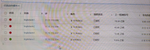 flowerbirds_1-1627468203020.png
