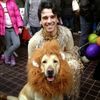 andrea-mallegni-ff6c5207.jpg