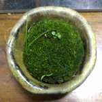 MossBallOfZen.png