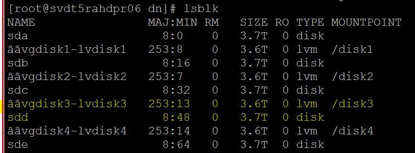 lsblk_status.JPG lsblk_status.JPG