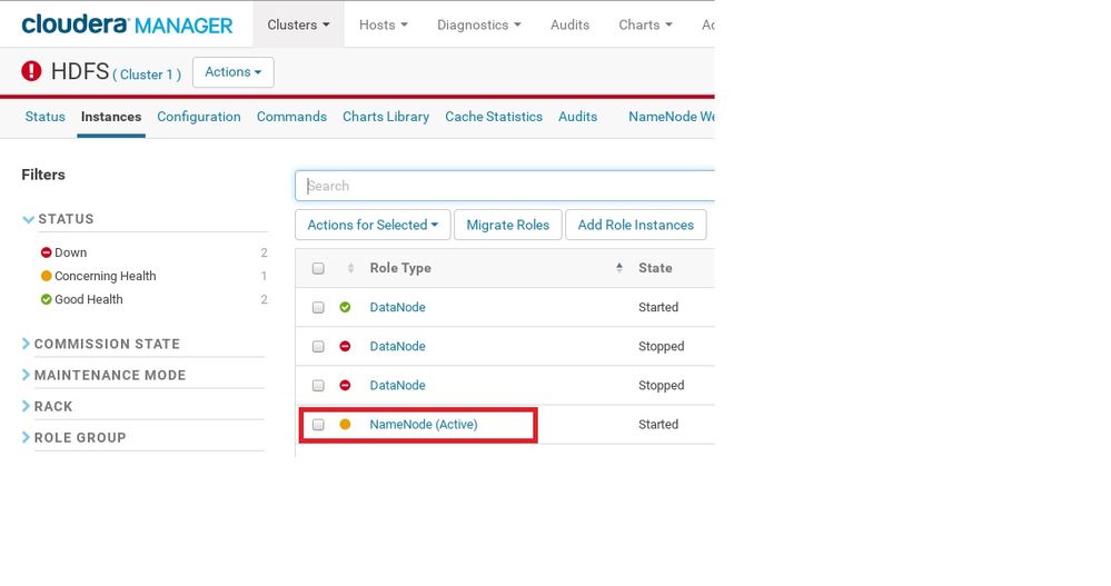 NameNode - Selection.jpg