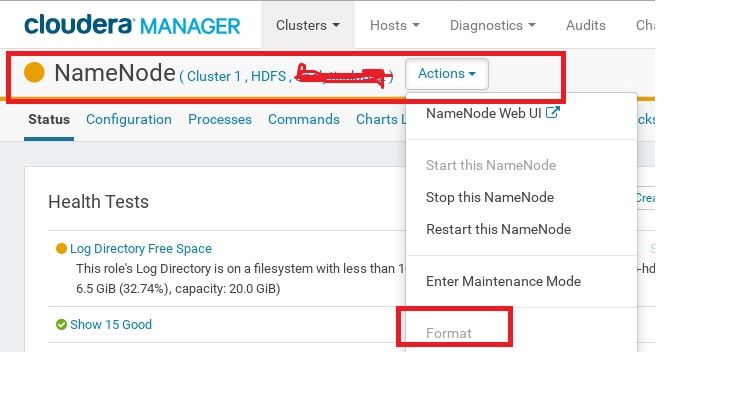 NameNode _ Format Option.jpg