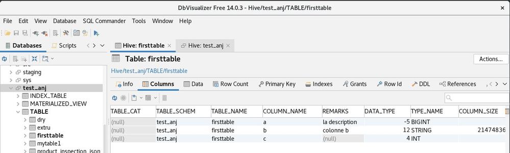 dbviz_columns_description.JPG