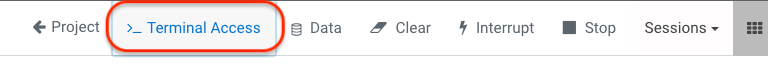 lanch_terminal_access.png