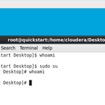 Quickstart Sudo