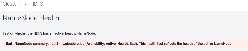 namenode bad health.PNG