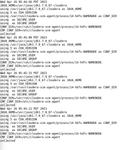 bird__2-1682513267356.png
