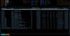MichaelBush_2-1686388189975.png