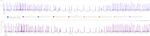 logging_diagramme.JPG