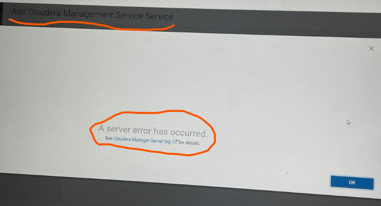 error add management service.png