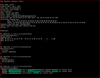 scoutjohn_1-1717824430326.png