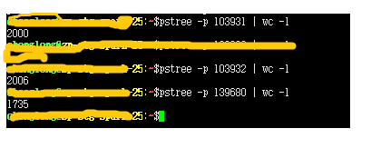 exceptional executor