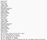 Syamim_2-1724144019378.png