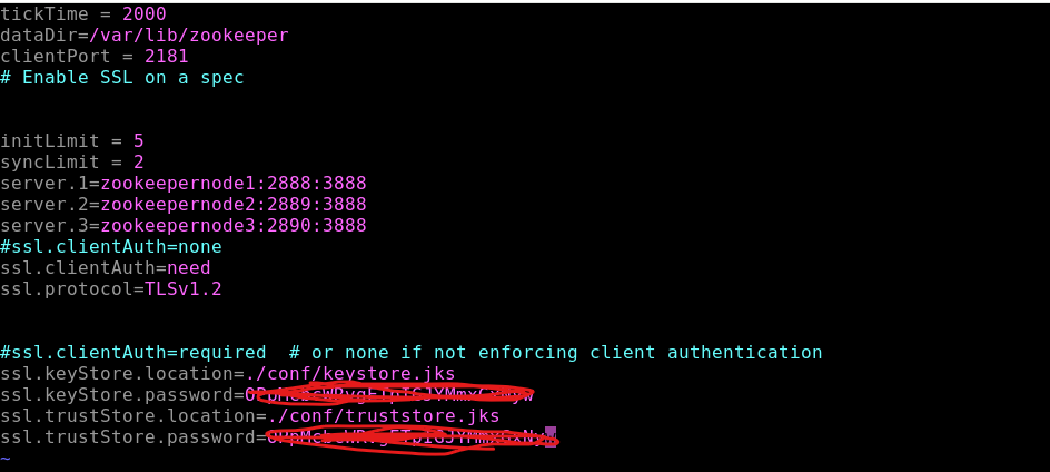 zookeeper config.png