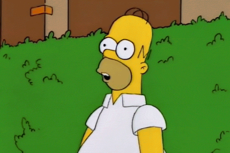 gif_homer.gif