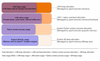 memory_allocation_and_usage.png