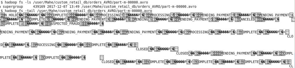 avro-file-input-data-content.jpg