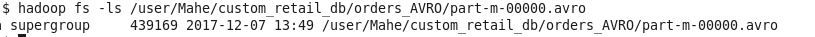 avro-file-input-data-existence.jpg