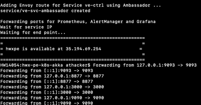 96576-console-script-service-details.png