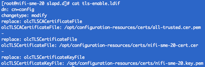 12040-tls-enable.png