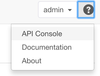 API console