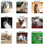 Public (rhryniewicz)