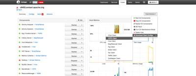 11116-host-component-config-download.png