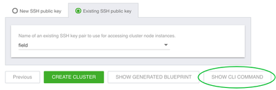 92520-cluster-create-show-cli-command.png