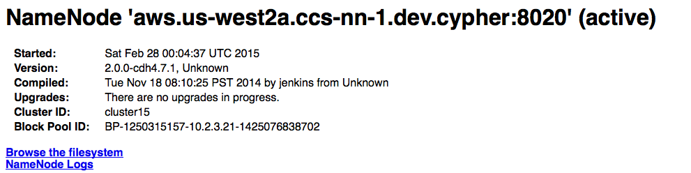 namenode_active.png