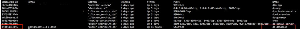 78389-docker-dp-database.png
